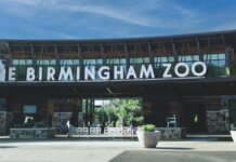 Spotlight on Jefferson County: Culture & Recreation