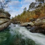 Spotlight on Jackson, Marshall, DeKalb & Cherokee counties