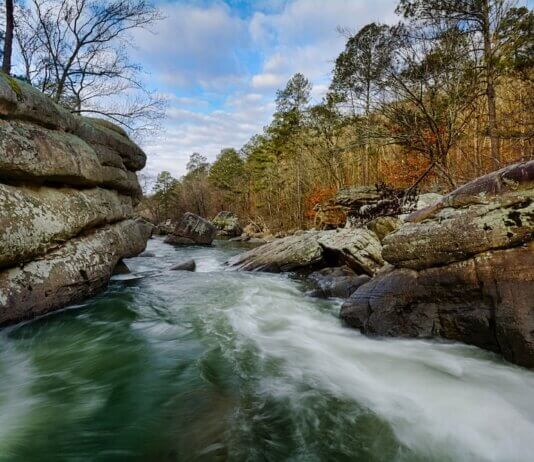 Spotlight on Jackson, Marshall, DeKalb & Cherokee counties