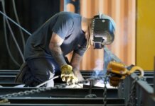 Birdon grows on the Bayou