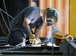 Birdon grows on the Bayou