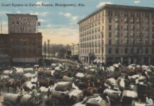 Retrospect: The cotton kingdom of Isidor Weil