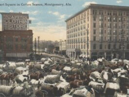 Retrospect: The cotton kingdom of Isidor Weil