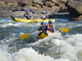 Spotlight on Lee, Macon & Russell counties