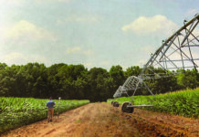 HudsonAlpha Cultivates AgTech Growth in the Wiregrass Sentinel AG