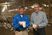 Alabama-grown chickens are among the state’s major exports