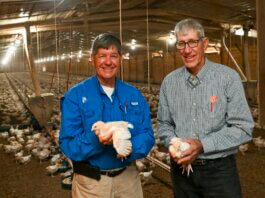 Alabama-grown chickens are among the state’s major exports