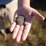 Robertsdale company puts flies to work to aid regenerative farming