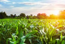 Spotlight on Autauga & Elmore Counties: Economic Engines