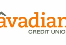 Avadian Introduces Treasury Management Tools for Small Businesses