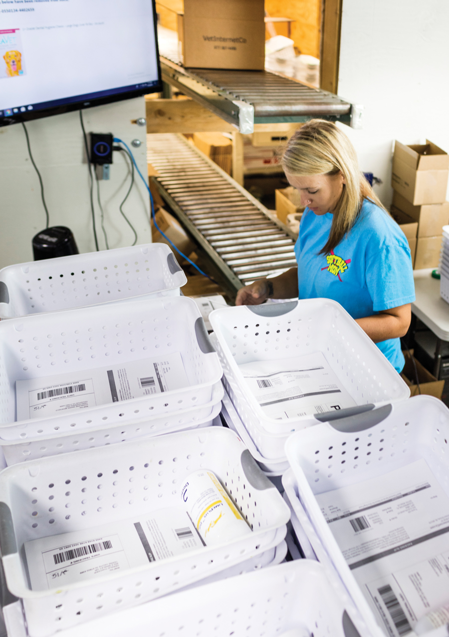 Surviving and Thriving in Dog-Eat-Dog E-Commerce