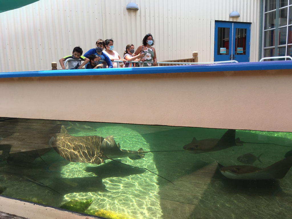 Dauphin Island Sea Lab impacts students